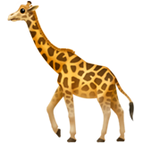 Girafe
