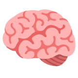 Cerveau - Noto Color Emoji