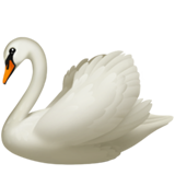 Cygne