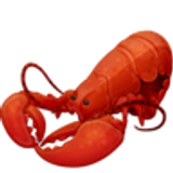 Homard - Facebook