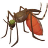 Moustique - Facebook