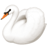 Cygne - Facebook