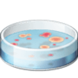 Boîte de pétri - Facebook