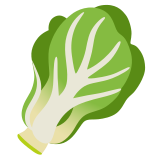 Légume à feuilles vertes - Noto Color Emoji