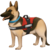 Chien d’assistance - Facebook