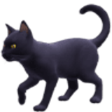 Chat noir - Facebook