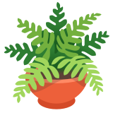 Plante en pot - Noto Color Emoji