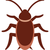 Cafard - Twitter / X