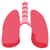 Poumons - Twitter / X