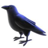 Oiseau noir - Facebook