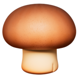 Champignon marron
