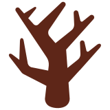 Arbre sans feuille - Twitter / X