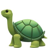 Emoji Tortue