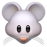 Tête de souris