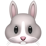 Tête de lapin