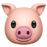 Tête de cochon