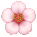 Fleur de cerisier - Facebook