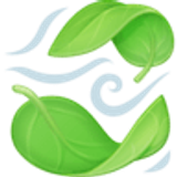 Feuille virevoltante - Facebook