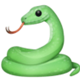 Serpent - Facebook