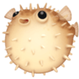 Poisson-lune - Facebook