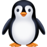 Pingouin - Facebook