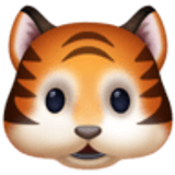 Tête de tigre - Facebook