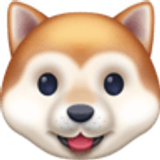 Tête de chien - Facebook