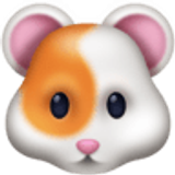 Hamster - Facebook