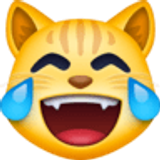 Chat qui pleure de joie - Facebook