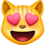 Chat souriant aux yeux en cœurs - Facebook