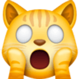 Chat fatigué - Facebook