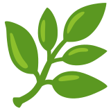 Feuille - Noto Color Emoji