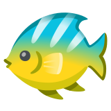 Poisson tropical - Noto Color Emoji