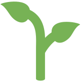 Jeune pousse - Twitter / X