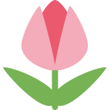 Tulipe - Twitter / X