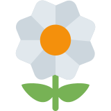 Bourgeon - Twitter / X