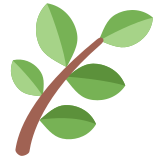 Feuille - Twitter / X