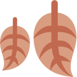 Feuille morte - Twitter / X