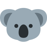 Koala - Twitter / X