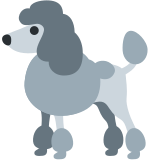 Caniche - Twitter / X