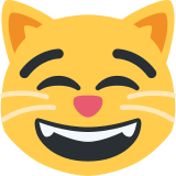 Chat qui sourit avec des yeux rieurs - Twitter / X