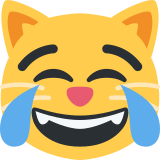 Chat qui pleure de joie - Twitter / X