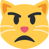 Chat qui boude - Twitter / X