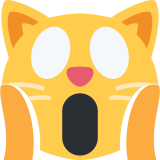 Chat fatigué - Twitter / X