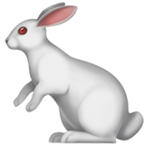 Lapin