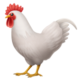 Coq