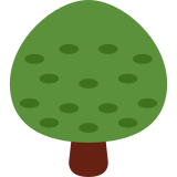 Arbre à feuilles caduques - Twitter / X