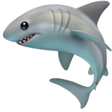 Requin Whatsapp