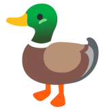 Canard - Noto Color Emoji