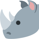 Rhinocéros - Twitter / X